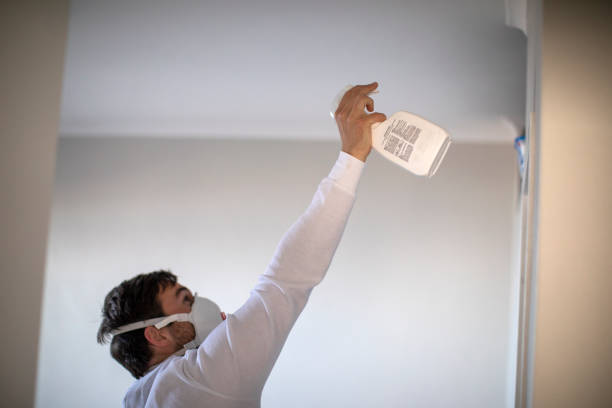 Best Professional Mold Removal  in Saybrook Manor, CT