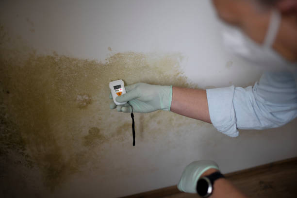 Best Crawl Space Mold Removal  in Saybrook Manor, CT