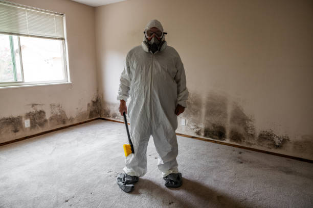 Best Certified Mold Removal  in Saybrook Manor, CT